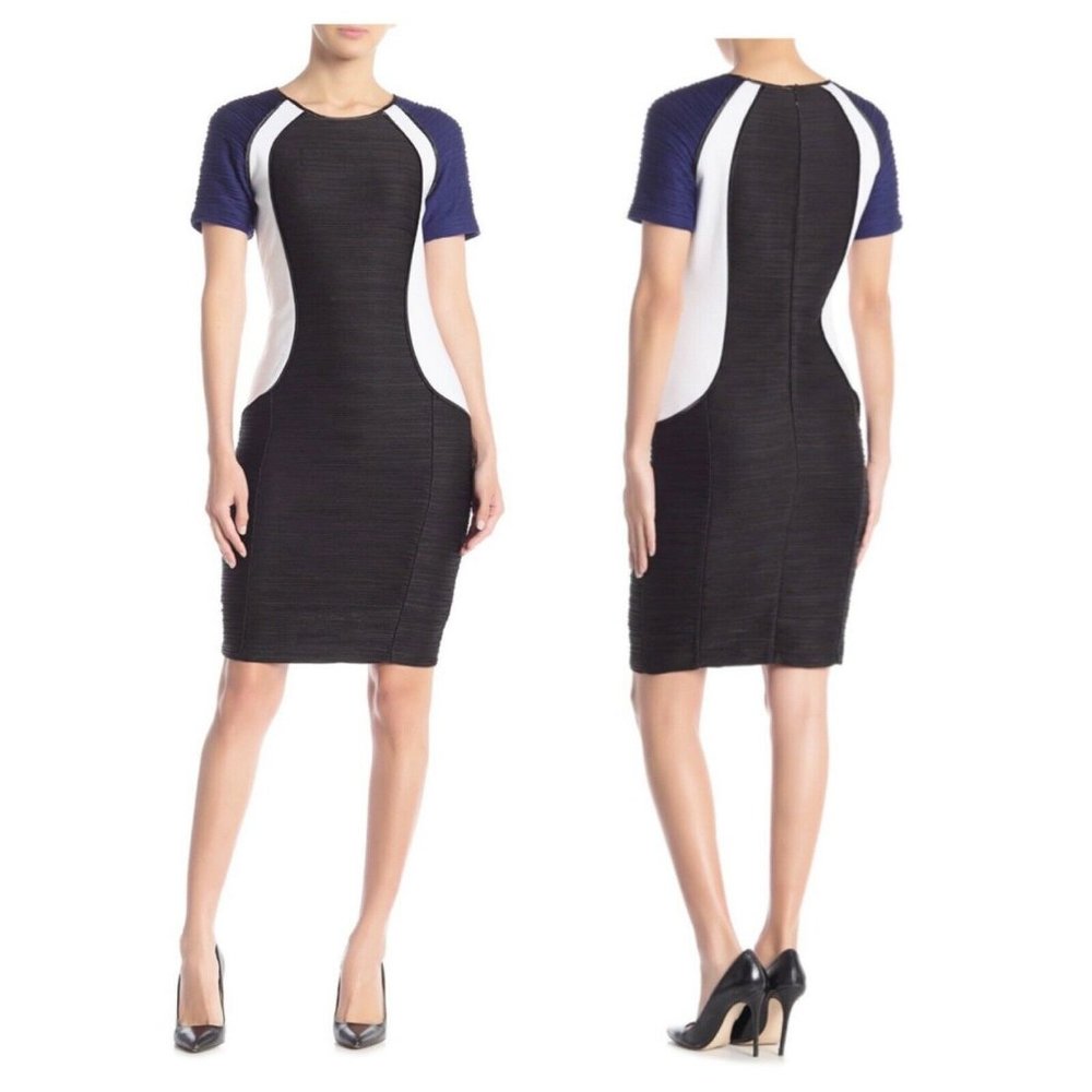 Focus By Shani Colorblock Crew Neck Sheath Dress
